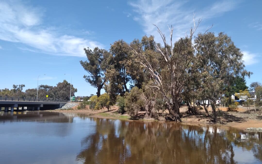 Williams River Gathering – Save The date!