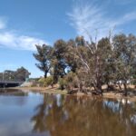 Williams River Gathering - Save The date!