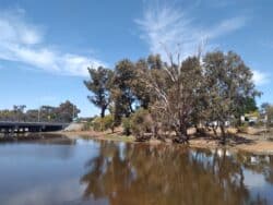 Williams River Gathering - Save The date!
