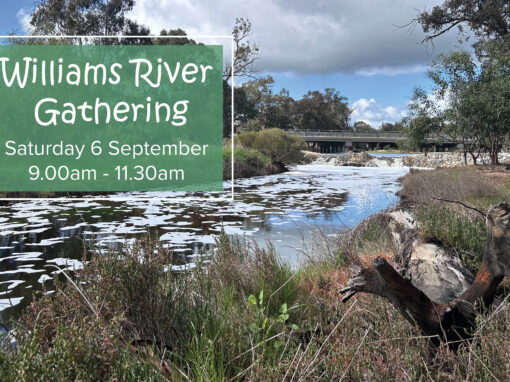 Williams River Gathering - Save The date!