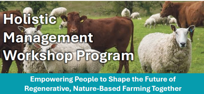 Holistic Management Workshop