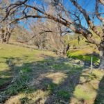 **Event Cancelled** Small Property Planning Workshop