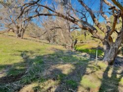 **Event Cancelled** Small Property Planning Workshop