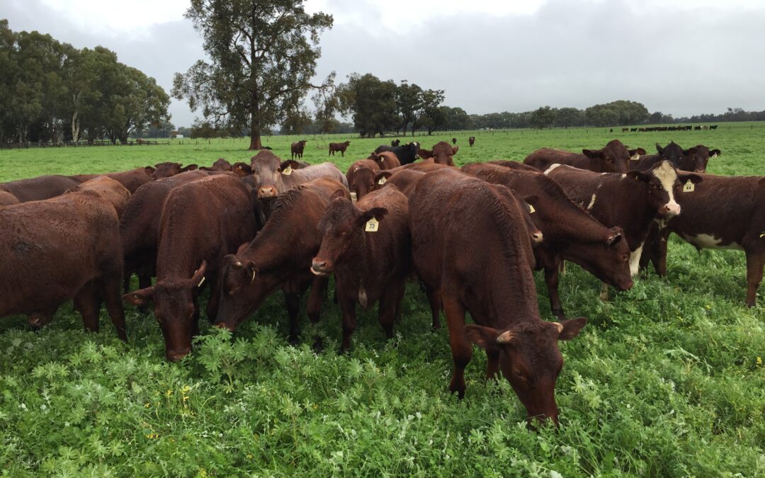 **Event Cancelled** Measuring and Managing your Farm Carbon Emissions