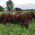 **Event Cancelled** Measuring and Managing your Farm Carbon Emissions