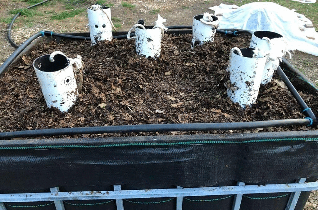 Different Ways to Make Compost Workshop