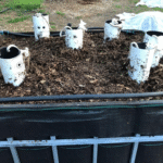 Different Ways to Make Compost Workshop