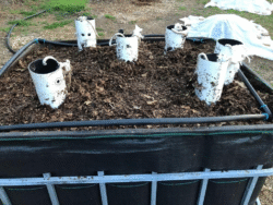 Different Ways to Make Compost Workshop