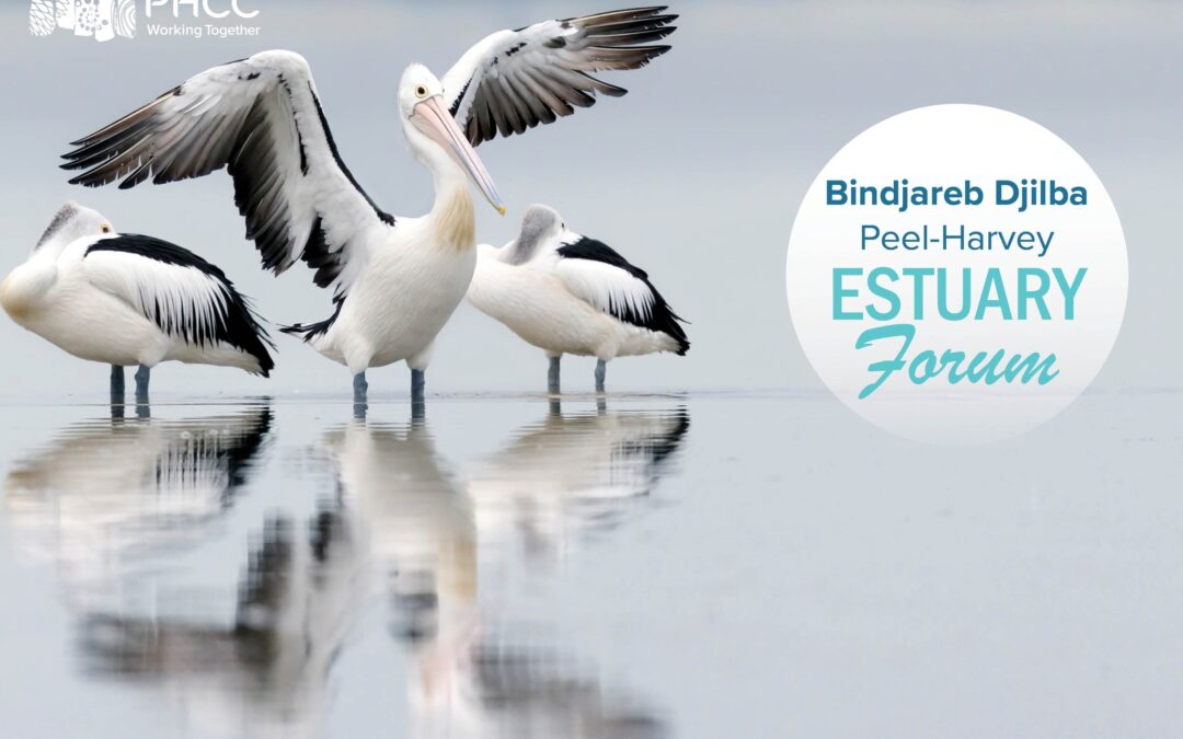 Bindjareb Djilba (Peel-Harvey) Estuary Forum