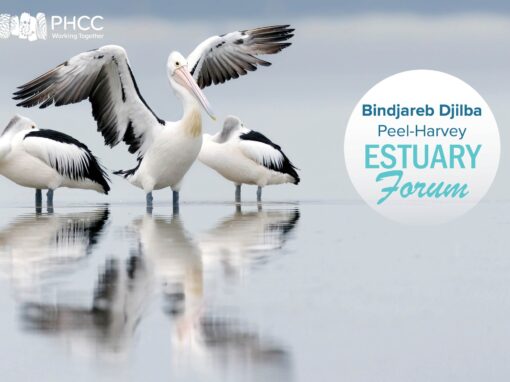 Bindjareb Djilba (Peel-Harvey) Estuary Forum