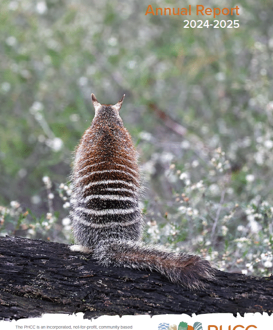 Annual Report 2024-2025