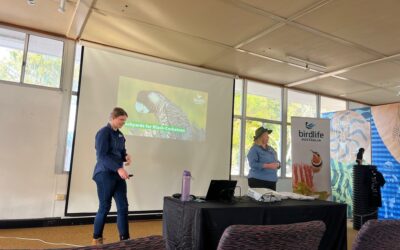 Backyards for Black Cockatoos Event