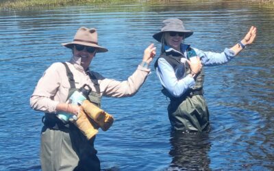 Peel Main Drain and Serpentine Wetlands ─ Hydrology and Drainage