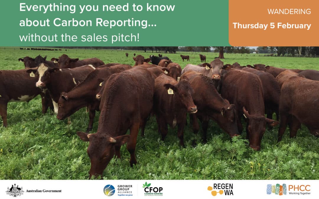 Everything You Need To Know About Carbon Reporting - WANDERING