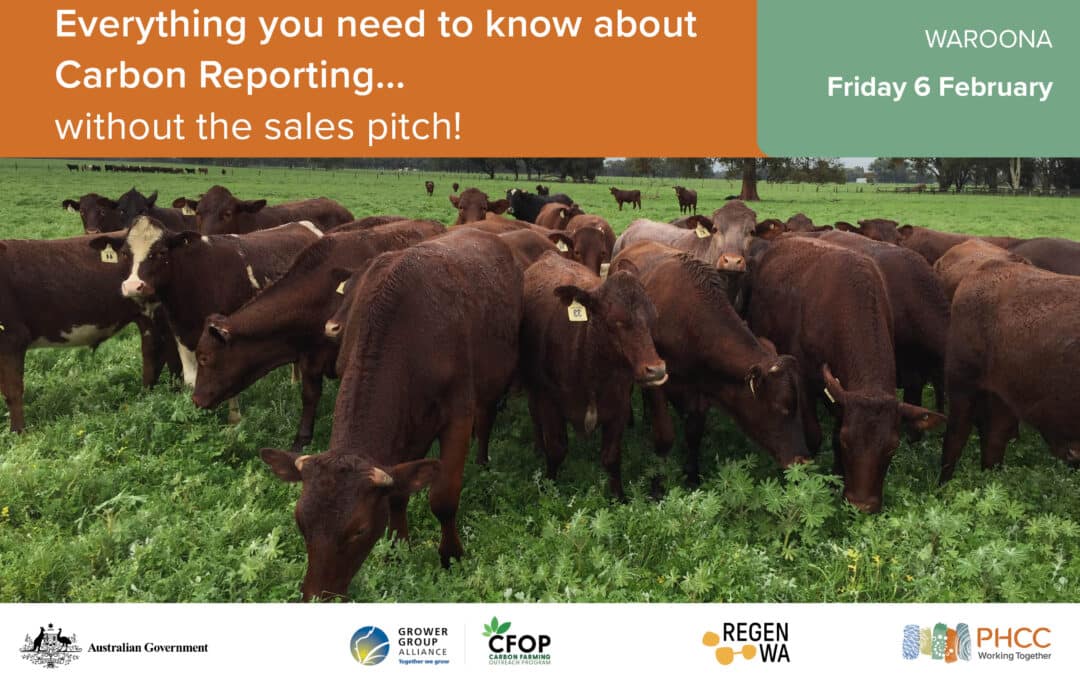 Everything You Need To Know About Carbon Reporting - WAROONA