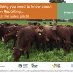 Everything You Need To Know About Carbon Reporting - WAROONA