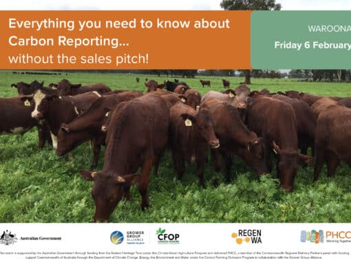 Everything You Need To Know About Carbon Reporting - WAROONA