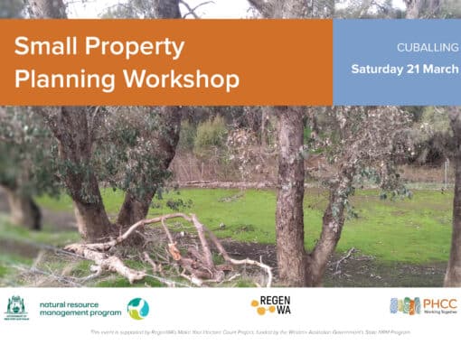 Small Property Planning Workshop - Serpentine