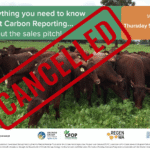 Everything You Need To Know About Carbon Reporting - WANDERING : EVENT CANCELLED