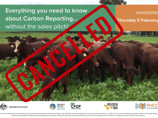 Everything You Need To Know About Carbon Reporting - WANDERING : EVENT CANCELLED