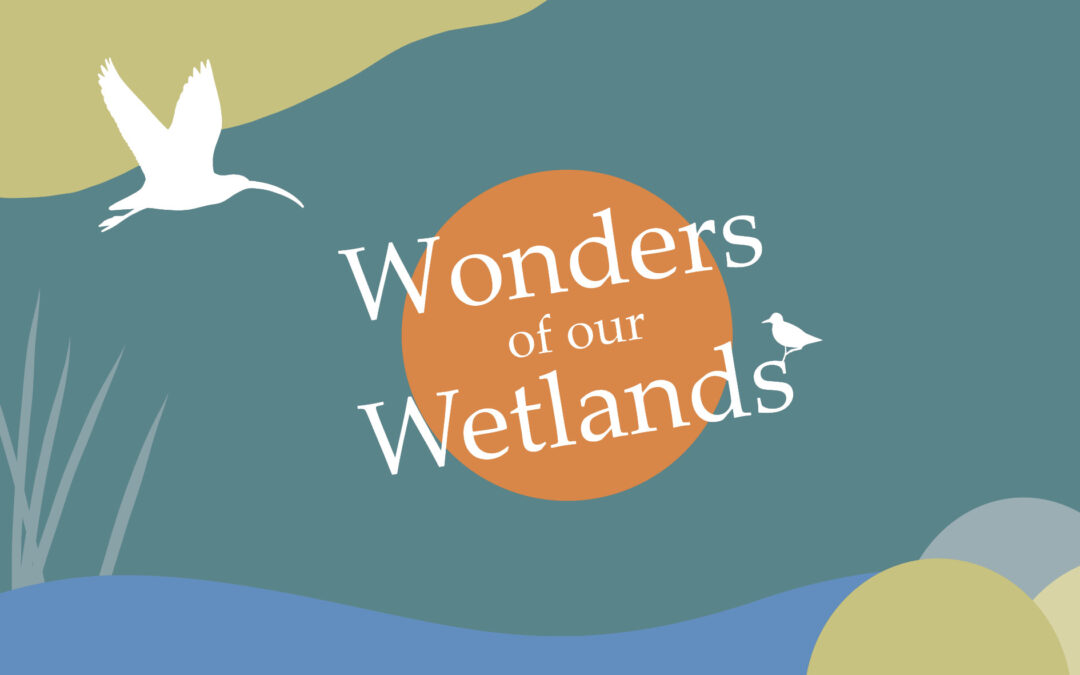 Wonders of our Wetlands Festival 2026