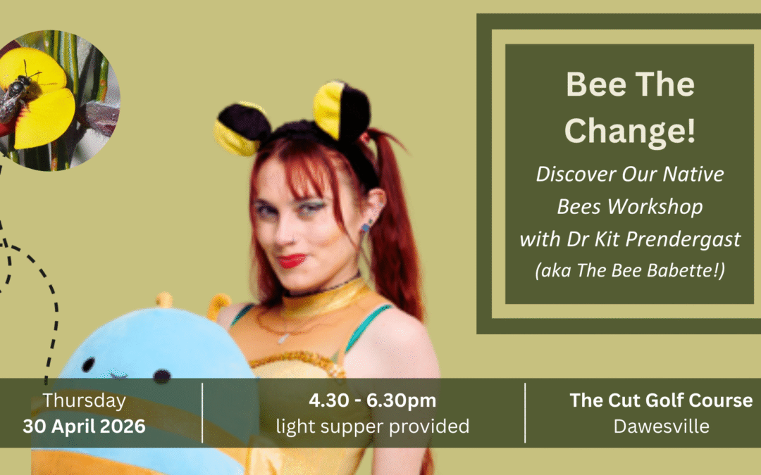 Bee The Change!  Discover Our Native Bees Workshop