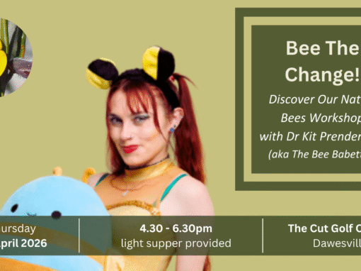 Bee The Change!  Discover Our Native Bees Workshop