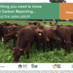 Everything you need to know about Carbon Farming - without the sales pitch!