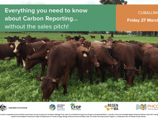 Everything you need to know about Carbon Farming - without the sales pitch!