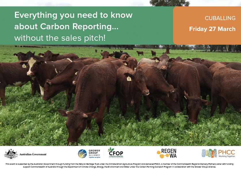 Everything you need to know about Carbon Farming - without the sales pitch!