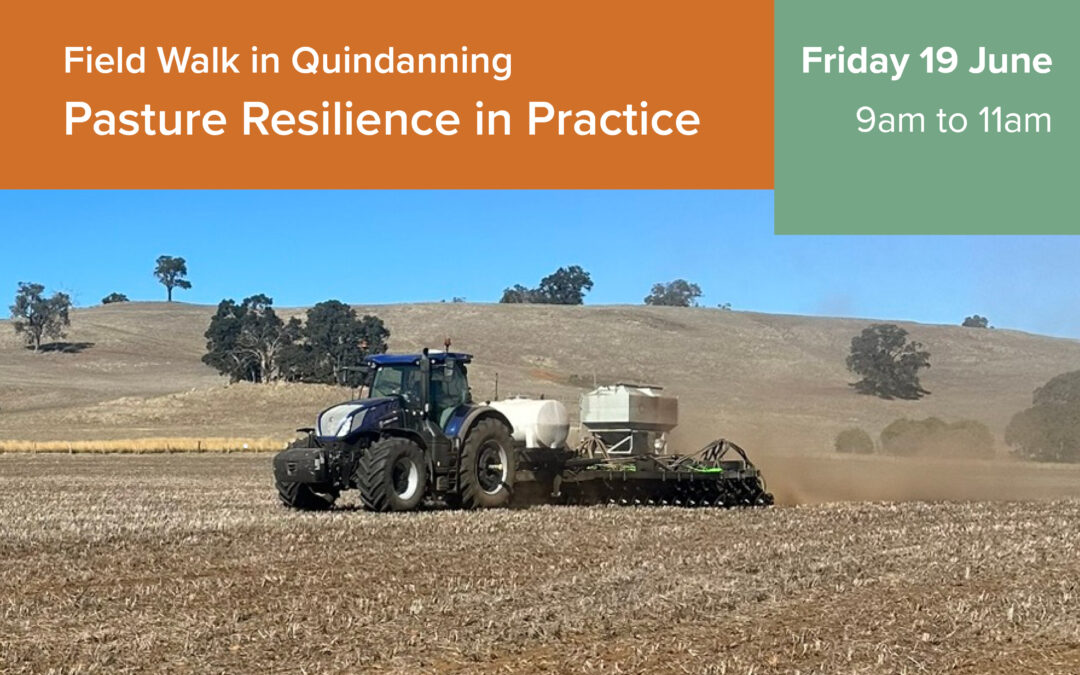 Quindanning Field Walk - Pasture Resilience in Practice