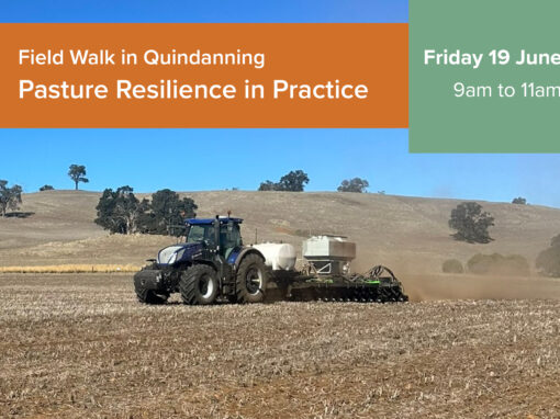 Quindanning Field Walk - Pasture Resilience in Practice