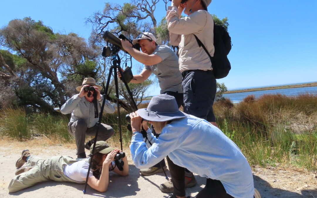 Yalgorup Wetlands: Wader You Waiting For? Let’s Count!