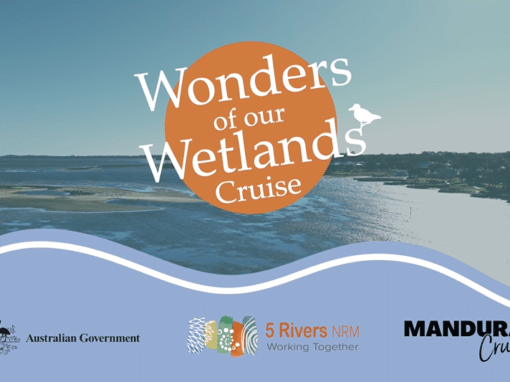 Wonders of our Wetlands Cruise